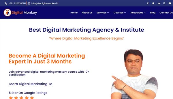 Digital Monkey - Digital Marketing Training Institute & Agency